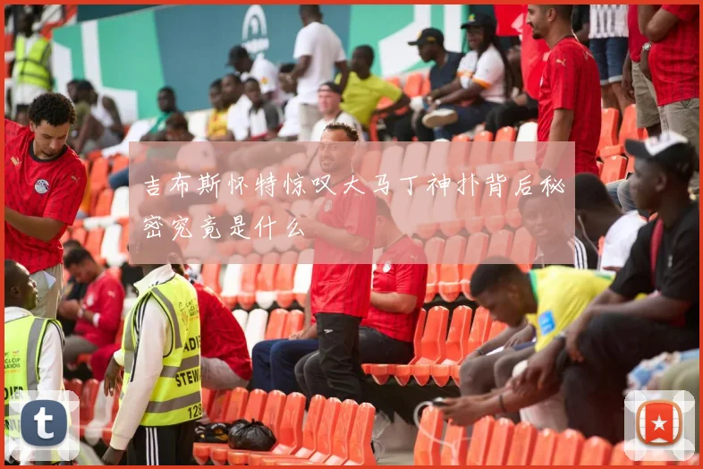 吉布斯怀特惊叹大马丁神扑背后秘密究竟是什么
