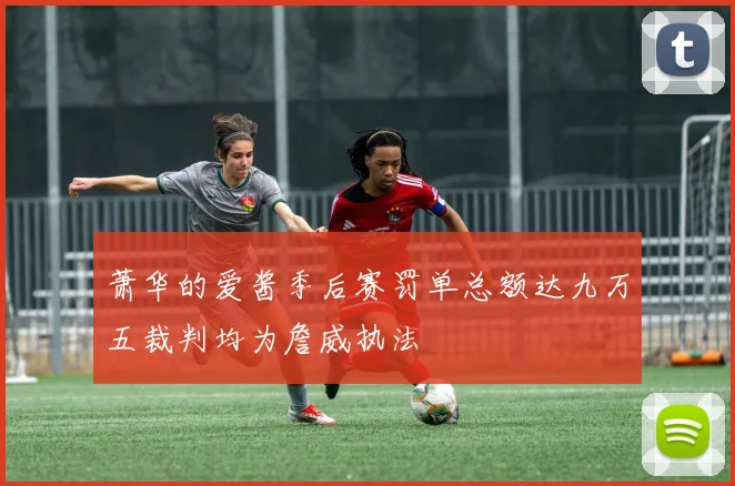 萧华的爱酱季后赛罚单总额达九万五裁判均为詹威执法